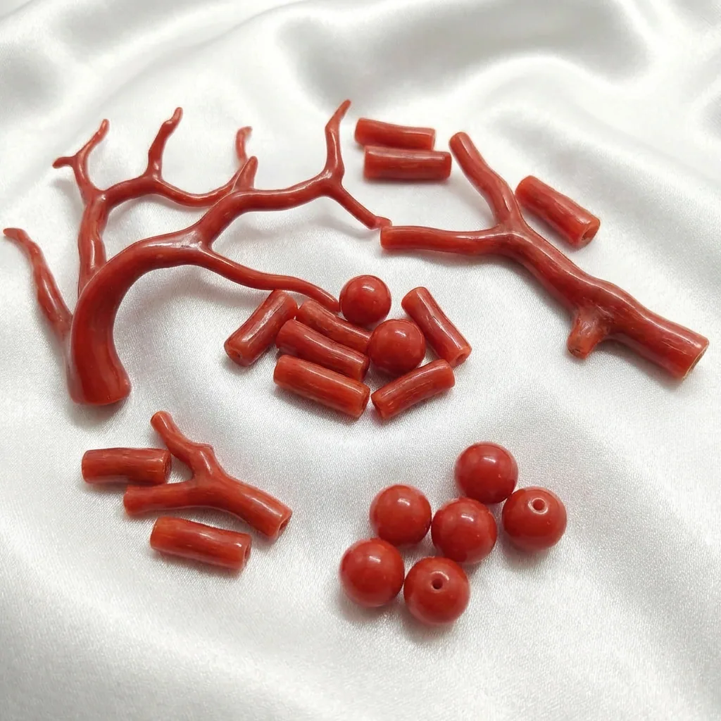 Branches et perles de corail rouge naturel — guide prix et achat au Maroc